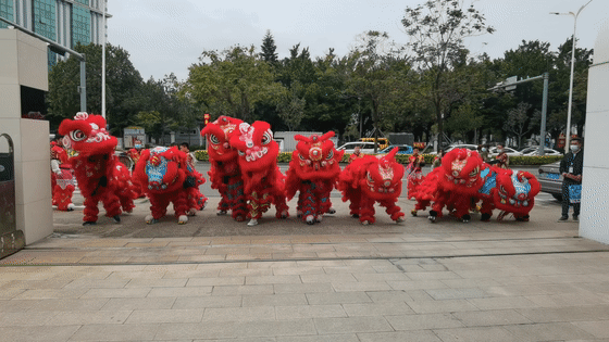 J9直营集团醒狮-00.gif