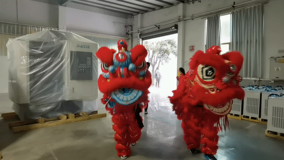 J9直营集团醒狮-01.gif